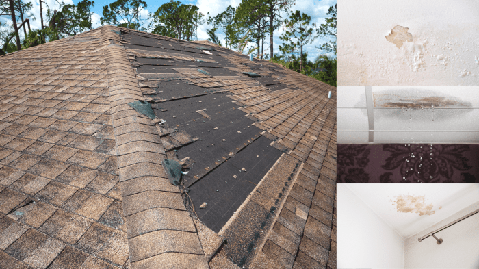 Emergency Roof Leak Repair: Immediate Solutions for Water Damage ...