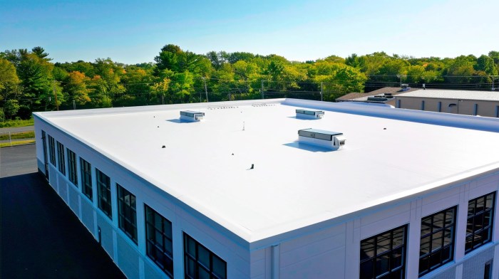 Commercial Roofing Companies Near Me: Quality Services In Your Area