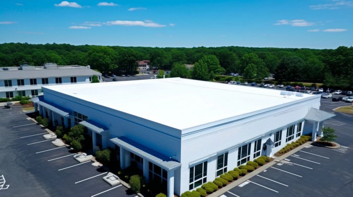 Commercial Roofing Companies Near Me: Quality Services In Your Area